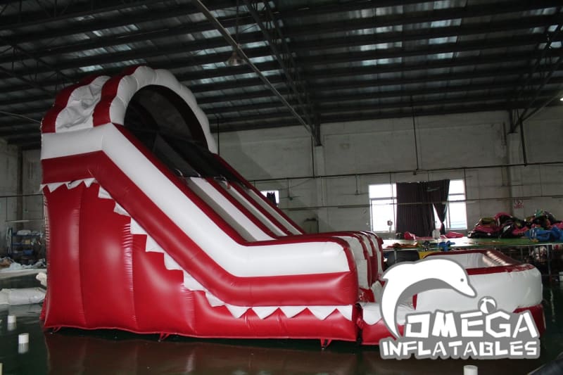 15FT Ragin Cajuns Wet Dry Slide