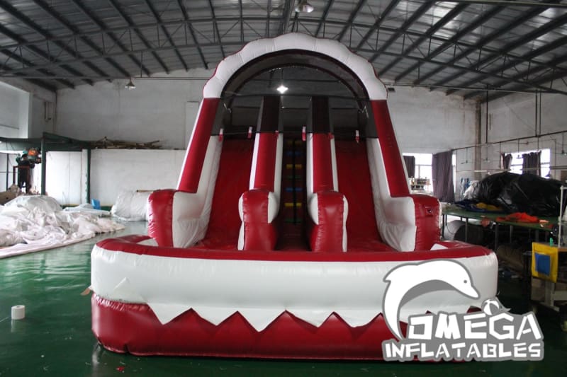 15FT Ragin Cajuns Wet Dry Slide