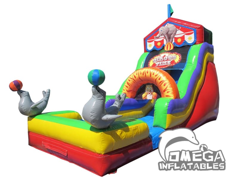 18FT Circus Slide