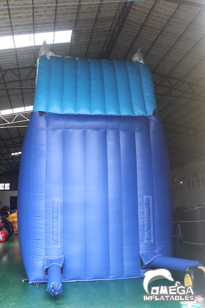 20FT Inflatable Dolphin Water Slide for Sale