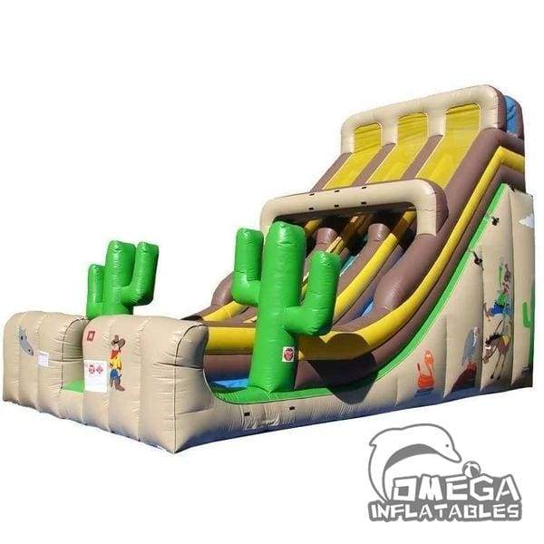 20FT China Inflatable Factory Western Double Lane Slide