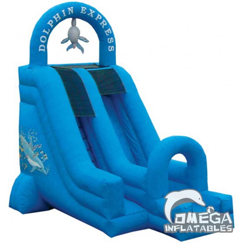 20FT Dolphin Express Wet Dry Slide