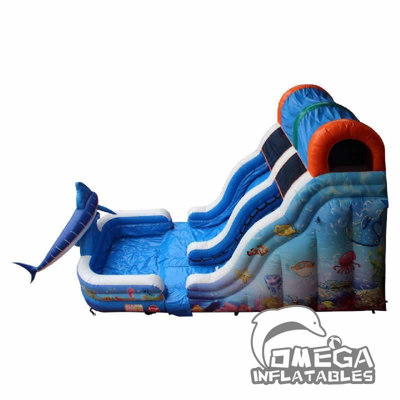 Aqua Wet and Dry Slide