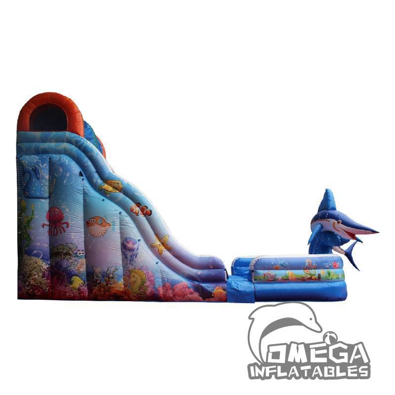 Aqua Wet and Dry Slide