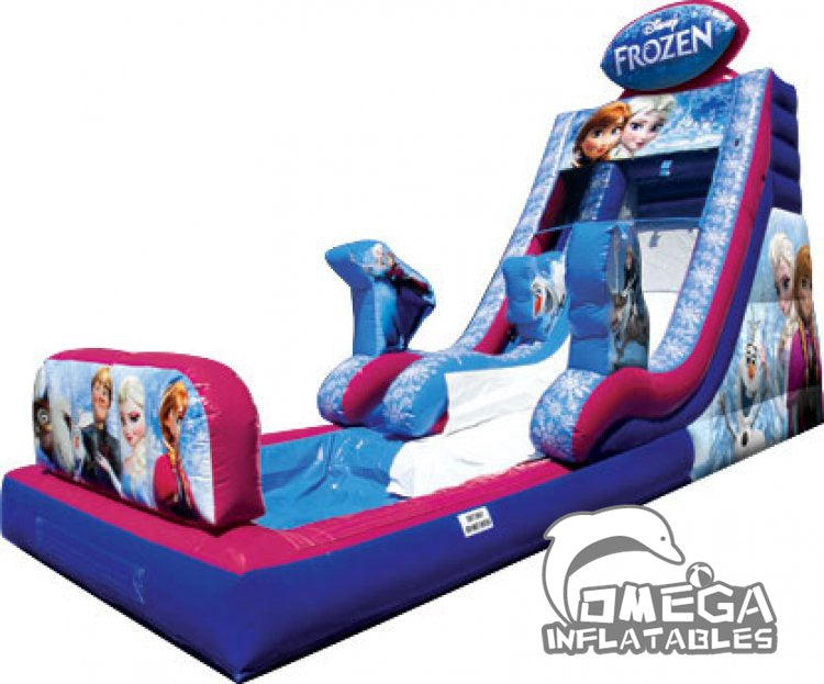 18FT Frozen Commercial Water Slide