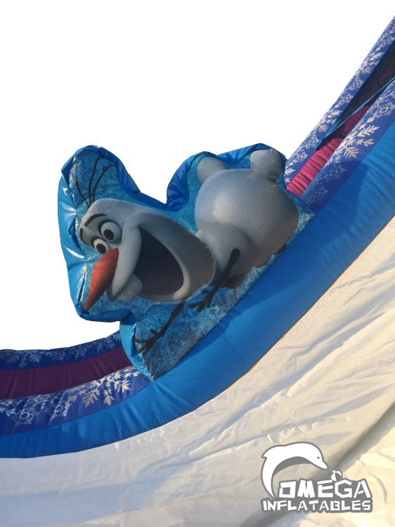 18FT Frozen Commercial Water Slide