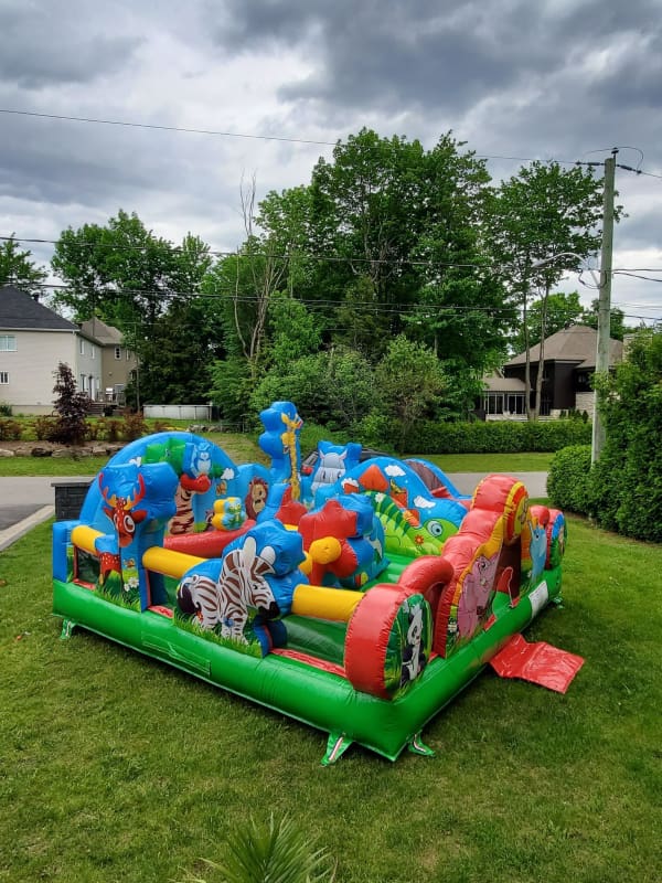 Inflatable Animals Park