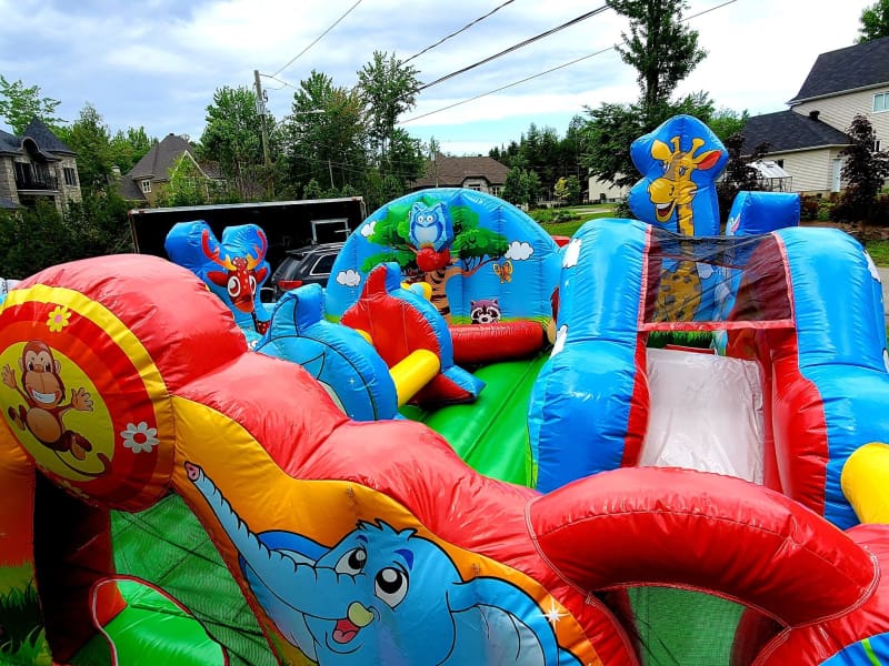 Inflatable Animals Park