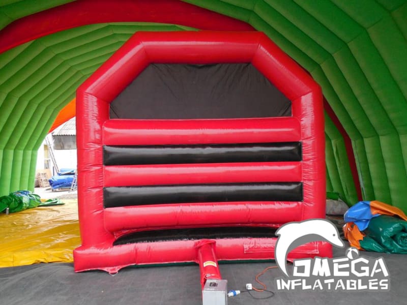 Inflatable Cat Front Slide Bouncer