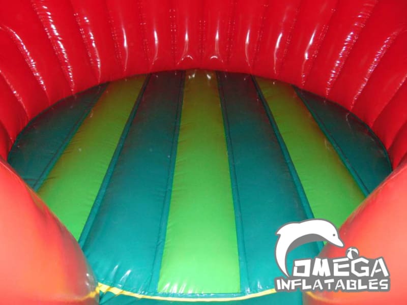 Inflatables Strawberry Bouncy Castle