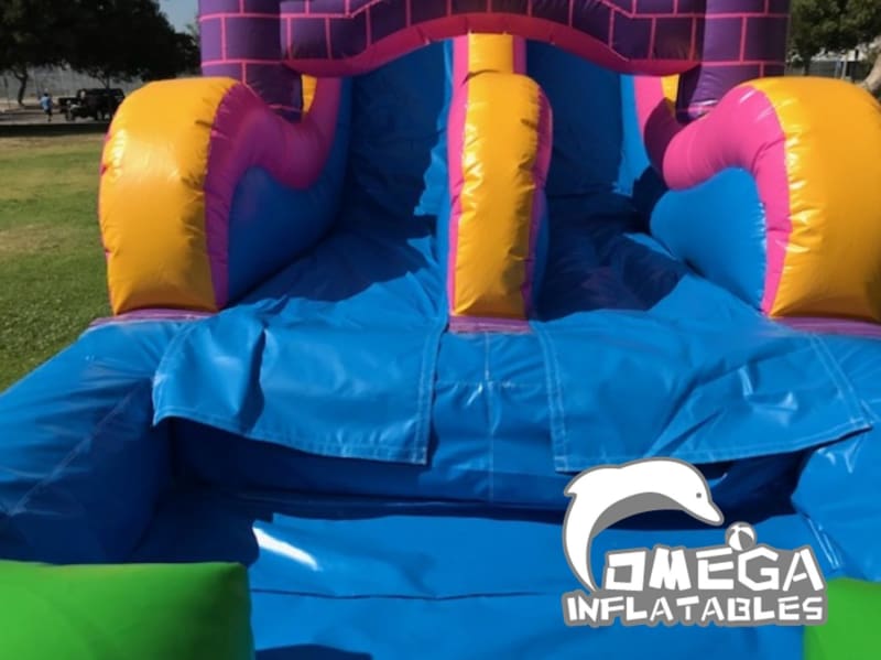 Pink Castle Dual Water Slide