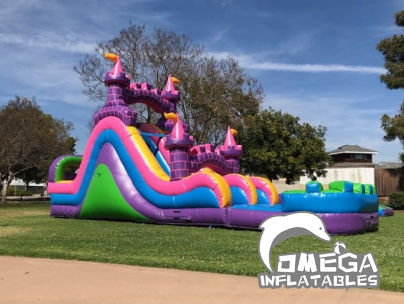 Pink Castle Dual Water Slide