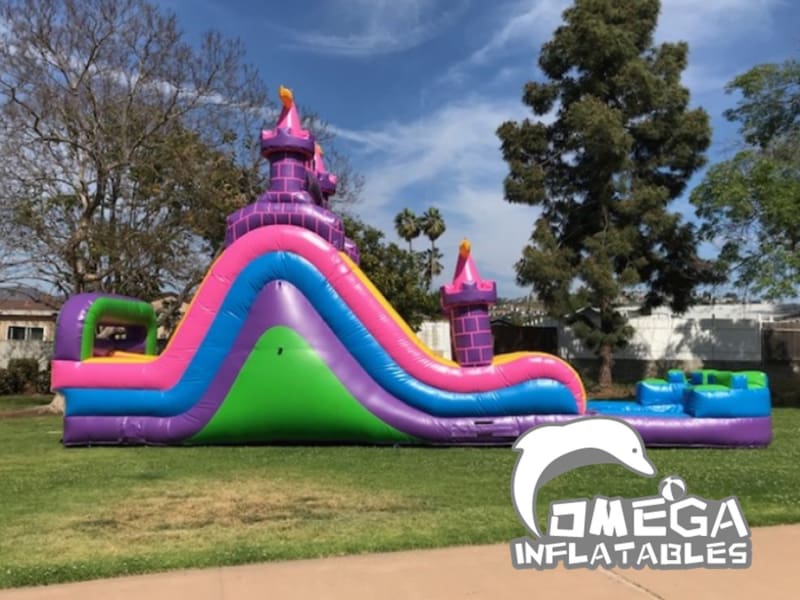 Pink Castle Dual Water Slide