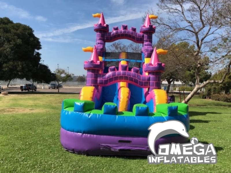 Pink Castle Dual Water Slide